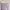 Lavender Strap Midi Dress with Ruched Bodice Party Wedding G photo 3