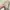 pashmina viscose WMD warna beige  photo 1