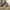 Blackstone Casual Sneakers Pria silver tan photo 1