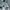 Crewneck Kangol Fashion Branded photo 2