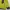 Mont Bell soft shell size XL G087 photo 2
