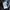 HOODIE ADIDAS AOP photo 4