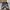Salomon Xt 6 Black Lunar Grey photo 4