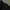 rucas initial python black photo 3