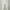 Uniqlo Slim Straight