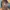 Texture Chelsea Boots  photo 5