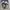 Vans SK8-Low Black Ink photo 5