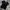 Adidas Adicolor Classic 3 Stripes photo 2