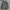 Thewholenine Flannel Shirt photo 1
