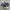 Converse Chuck Taylor All Star 70S High Navy Stars photo 2