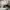 Converse Chuck Taylor All Star 70S High Black White photo 7