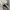 Converse Chuck Taylor All Star 70S High Black White photo 7