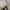 Converse Chuck Taylor All Star High Full Leather Black White photo 8