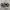 Converse Chuck Taylor All Star High Full Leather Black White photo 3