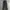 Dickies 874 Olive Green photo 4