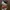 Boneka Hello Kitty Halloween