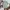 JUN Korean Printed Motifs Summer Open Collar Shirt photo 1