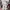 Boneka Hello Kitty Bunny Sleep