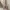 Authentic Furla Sling Bag Tubarose Pink Pastel photo 3