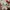 Boneka Hello Kitty Panda