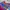 Fairy Casual Kids multicolor photo 4