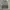 VTG CARGO AVIREX USA GREY WASH photo 4