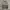 VTG CARGO AVIREX USA GREY WASH photo 1