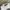Nat geo tee white color photo 5