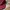 Red cap vintage style "j&m fabric" red photo 1