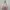 Charles and Keith Minimalist Casual Crossbody Bag Wanita pink photo 2