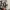 Thisisneverthat 330D Cordura Backpack photo 3