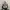 Thisisneverthat 330D Cordura Backpack photo 1