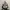 Thisisneverthat 330D Cordura Backpack