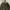 Winter Jacket ZARA MAN  trf_Outerwear  photo 1