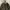 Winter Jacket ZARA MAN  Trf_Outerwear 