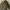 Winter Jacket ZARA MAN  trf_Outerwear  photo 2