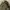Winter Jacket ZARA MAN  Trf_Outerwear 