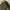 Winter Jacket ZARA MAN  trf_Outerwear  photo 6