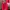 Nike Vintage Jersey Pria white red photo 2