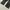 Dark Grey Jeans Beams Jpn Brand Destroyer photo 7