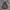 VTG HOODIE EXCIST MULTI COLOUR photo 3