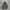 VTG HOODIE EXCIST MULTI COLOUR photo 1