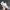 DIADORA Heritage Sneakers Original (Vintage) photo 1