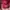 knit maroon  photo 2