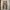 Dickies Genuine Carpenter photo 1