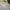 National Geographic Casual Sweater Pria white photo 3