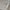 National Geographic Casual Sweater Pria white photo 5