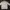 National Geographic Casual Sweater Pria white photo 4