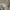 National Geographic Casual Sweater Pria white photo 6
