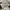 Champion Vintage Streetwear Polo shirt Pria white gray photo 2
